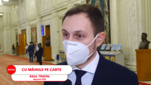 raoul trifan