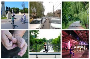 Fundația Comunitară Timișoara