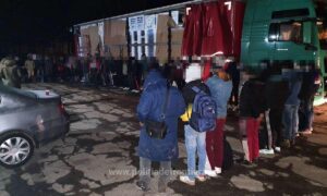 migranți