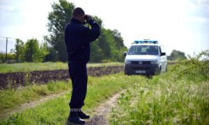 migranți