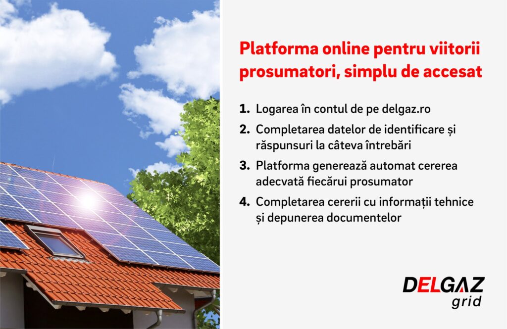 Delgaz Grid