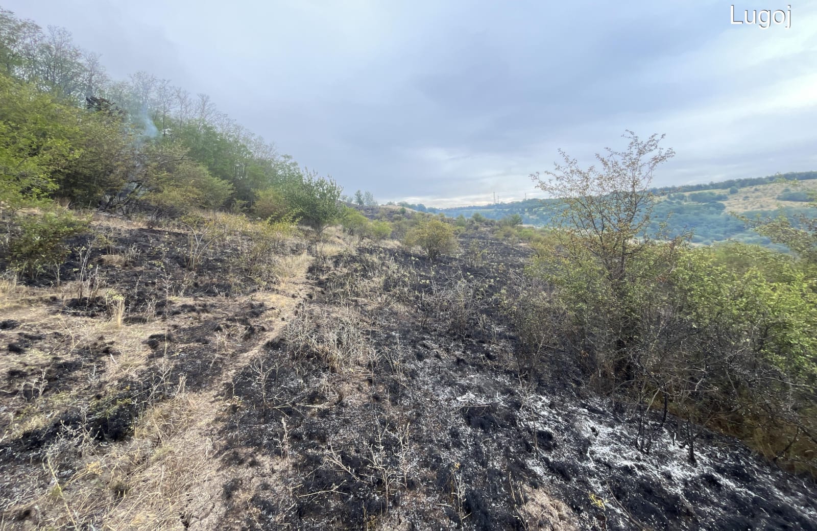 incendii