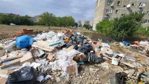 Pânde pe străzile Timișoarei. Poliția Locală a dat amenzi de aproape jumătate de milion de lei pentru gunoaie
