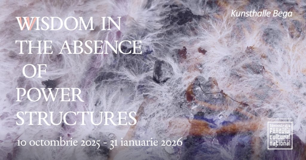 Rețele invizibile de idei și colaborare, în noua expoziție de la Kunsthalle Bega
