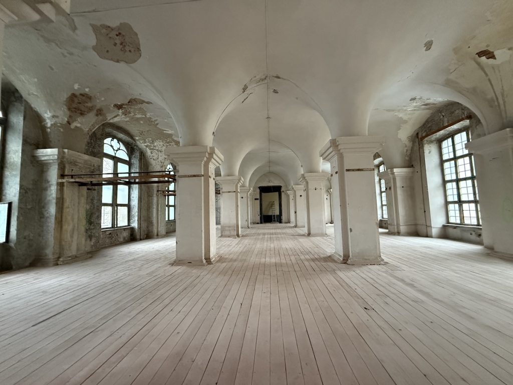 Stadion, Castelul Huniade și drumuri. Cum arată bugetul CJ Timiș și cât depinde de fonduri europene și credite