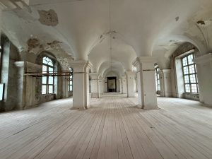 Stadion, Castelul Huniade și drumuri. Cum arată bugetul CJ Timiș și cât depinde de fonduri europene și credite