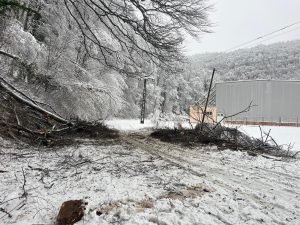 Mai multe localități fără curent electric în Timiș, după codul portocaliu de vânt