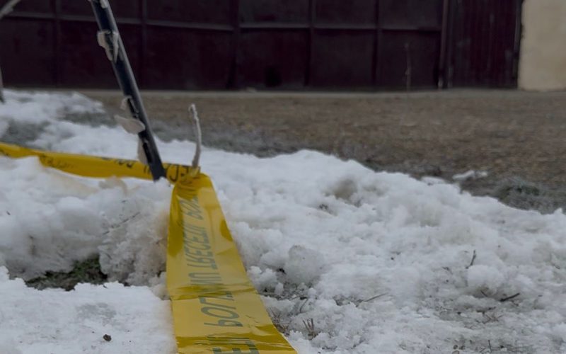 Prima sentință în cazul crimei de la Cenei. Închisoare doar pentru unul dintre criminali
