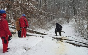 Sute de gospodării, în continuare fără curent, în Timiș