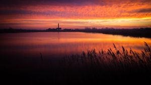 Jimbolia, orașul cu șase muzee și zonă naturală de aproape 100 de hectare