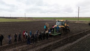 Pădurea UVT „răsare” la Giulvăz. 5.000 de plopi energetici vor fi plantați pe un teren degradat / FOTO