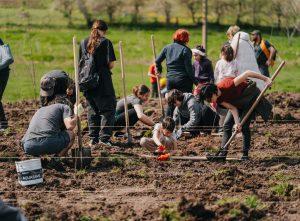 10.000 de copaci vor fi plantați la Ianova. CODRU caută voluntari pentru împădurire