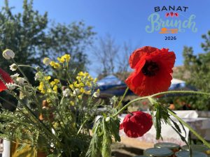 Banat Brunch revine: ciorbă de buruieni, ișlere și brânză friptă în gospodăriile locale