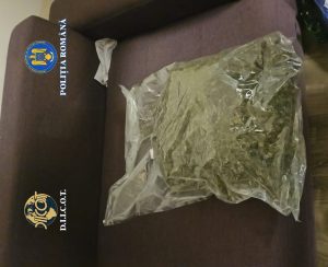 Două kilograme de canabis, vândute pentru 30.000 de lei. Flagrant la Timișoara