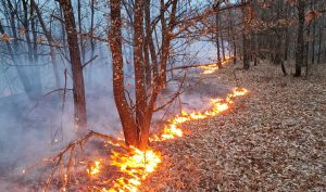 14 incendii în doar două zile, în Timiș: 10 hectare de vegetație arse și locuințe afectate