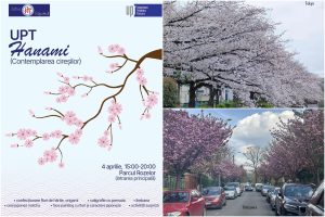 Timișoara, în roz japonez: Hanami în Parcul Rozelor, cu ateliere și ceai matcha