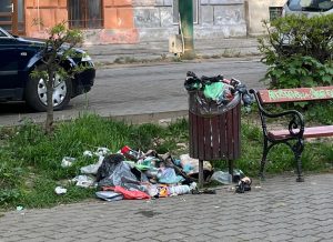 Paragină și mizerie în Parcul Carmen Sylva . Deși e inclus în contractul de 30 de milioane de euro pentru spații verzi