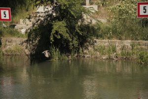 Un proiect despre Bega te scoate în oraș: ateliere, tururi și întâlniri