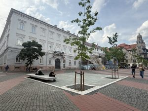 3.000 de euro metrul pătrat și tot nu e gata. Probleme pe șantierul Traseului Revoluției