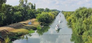 Vară pe Bega: Pelicanul pleacă spre Zrenjanin, Regata revine în septembrie