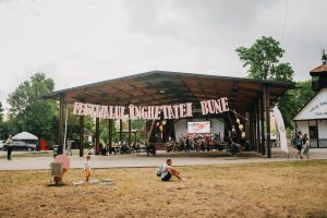 Festivalul Înghețatei Bune