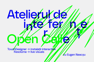 SIMULTAN caută artiști și creativi pentru un atelier gratuit. Două proiecte vor primi finanțare de 4.000 de lei