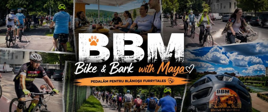 Bike & Bark with Maya: o tură cu bicicleta pentru câinii fără stăpân