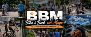 Bike & Bark with Maya: o tură cu bicicleta pentru câinii fără stăpân
