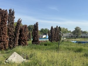 Ștrandul Termal: Primăria investește bani publici înainte de a-l da unui privat