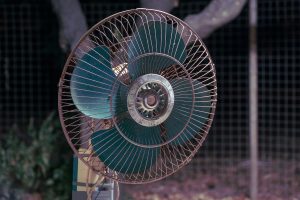 Ultima zi de august vine cu caniculă în Timiș. 37 de grade și cod galben