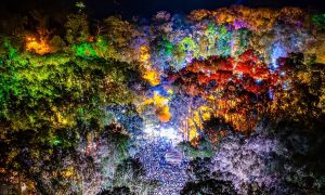 Trei săptămâni până la CODRU Festival. Cine urcă pe cele cinci scene din Pădurea Verde