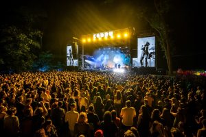 Încă două nopți de CODRU la Pădurea Verde. Urmează Subcarpați, Puya și Gipsy Kings
