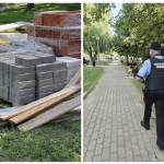 Copaci găuriți, parcări pe iarbă și amenzi de aproape 1,5 milioane de lei