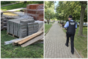 Copaci găuriți, parcări pe iarbă și amenzi de aproape 1,5 milioane de lei