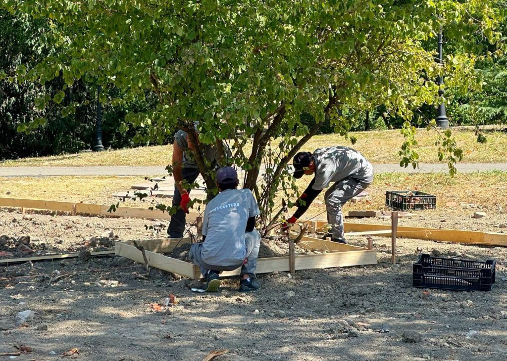 Horticultura vrea credite de 4 milioane de lei. Trei milioane pentru investiții, un milion pentru cheltuieli