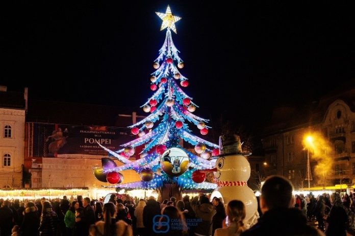 Pian deasupra Pieței Unirii și patinoar prin Parcul Central. Cum va arăta Crăciunul la Timișoara Pian deasupra Pieței Unirii și patinoar prin Parcul Central. Cum va arăta Crăciunul la Timișoara