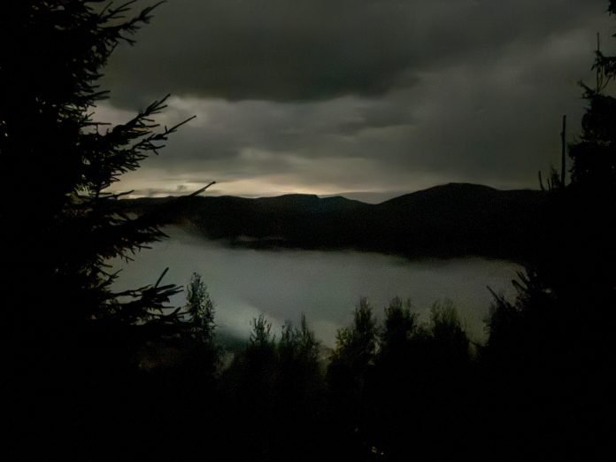Cum sună o pădure? Un spectacol neobișnuit, în premieră la Timișoara Cum sună o pădure? Un spectacol neobișnuit, în premieră la Timișoara