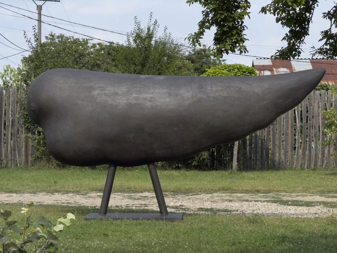 O aripă în care te poți adăposti, în Piața Unirii. Timișoara își extinde galeria de sculptură în aer liber O aripă în care te poți adăposti, în Piața Unirii. Timișoara își extinde galeria de sculptură în aer liber