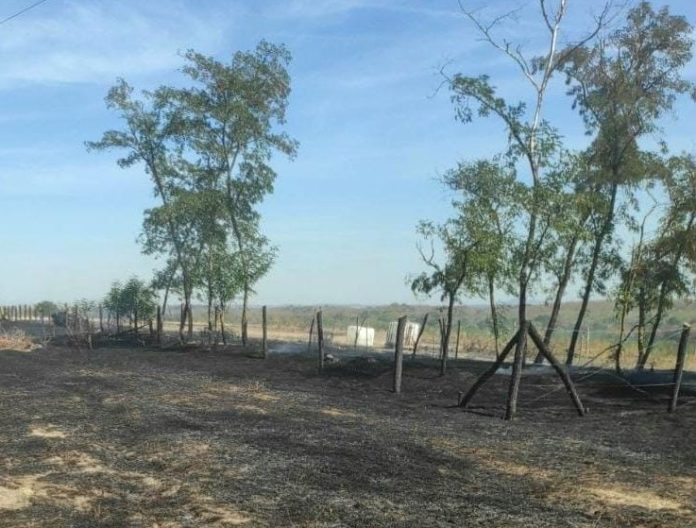 inȘapte incendii într-o zi în Timiș. La Chevereșu Mare, focul s-a întins pe 40 de hectarecendiu Șapte incendii într-o zi în Timiș. La Chevereșu Mare, focul s-a întins pe 40 de hectare